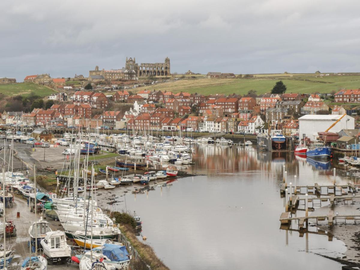 Laridae Whitby